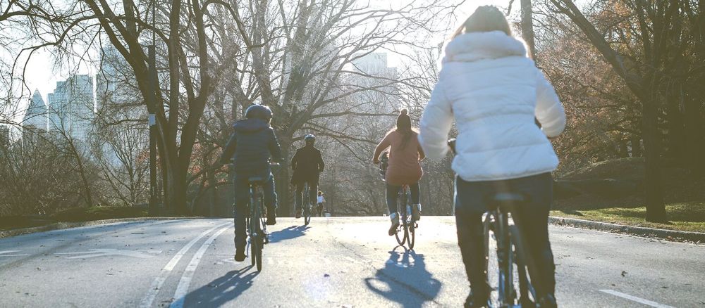 People cycling along a park road